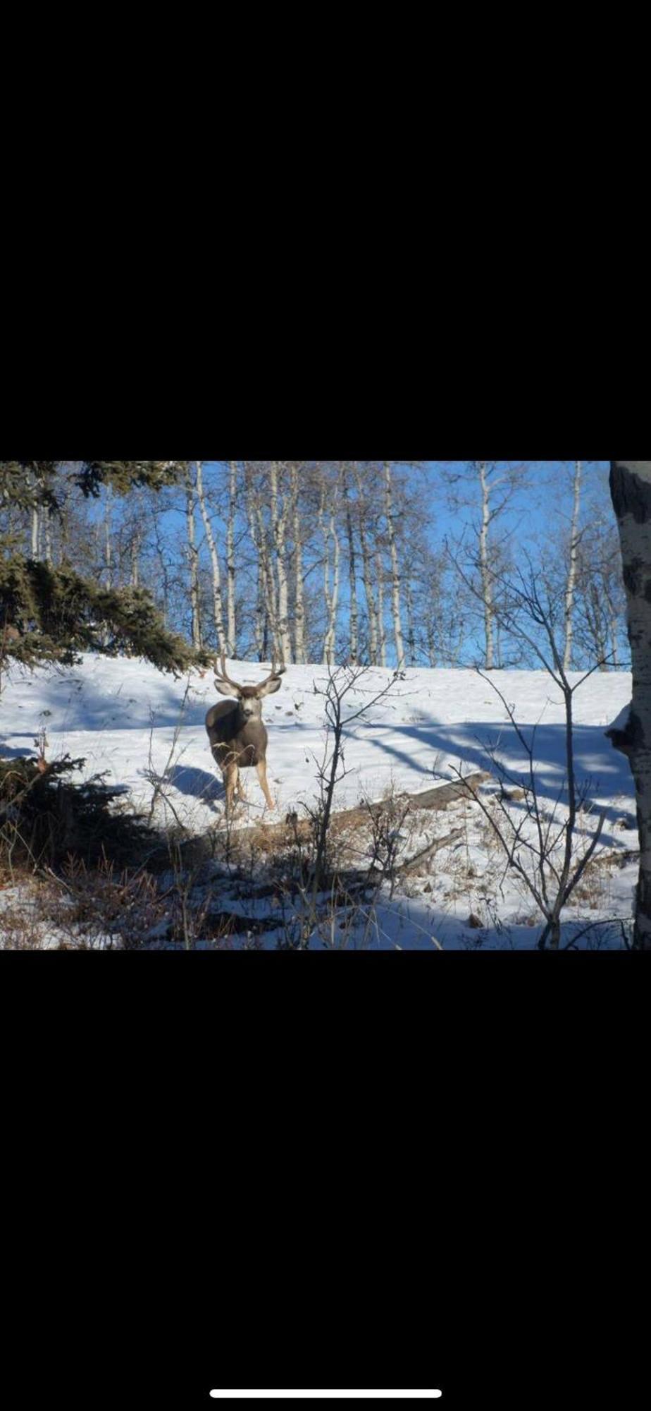 Heart West Haven Villa Priddis Dış mekan fotoğraf